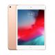 iPad Mini 5 256gb Gold WiFi