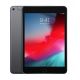 iPad Mini 5 64gb Space Gray WiFi Cellular