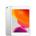 iPad Mini 5 256gb Silver WiFi Cellular